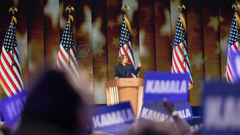 Vice President Kamala Harris speaks at the DNC on Aug. 22, 2024. (Michael Izquierdo / WTTW News)