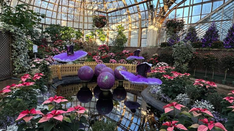 Lincoln Park Conservatory’s “Sugar Plum” show. (Credit: Chicago Park District)