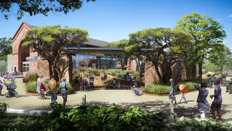 A graphic rendering of the new Kovler Lion House planned for Lincoln Park Zoo (Courtesy Lincoln Park Zoo) 