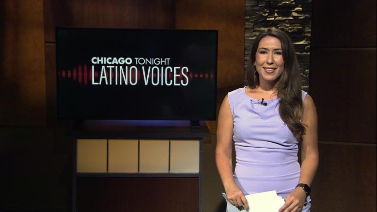 (WTTW News)