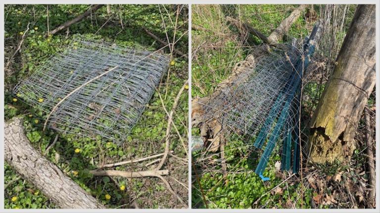 Recent vandalism at LaBagh Woods. Fencing designed to protect native shrubs from deer was torn apart. (Chicago Ornithological Society / Twitter)