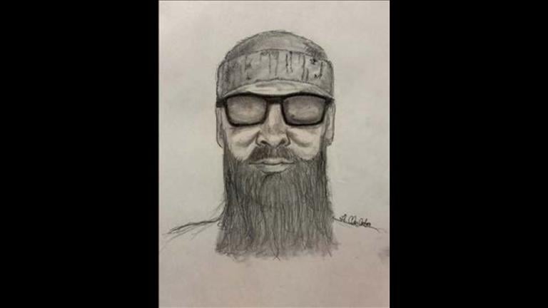A sketch of a suspect in a sexual assault at LaBagh Woods in Chicago. (Forest Preserves of Cook County Police)