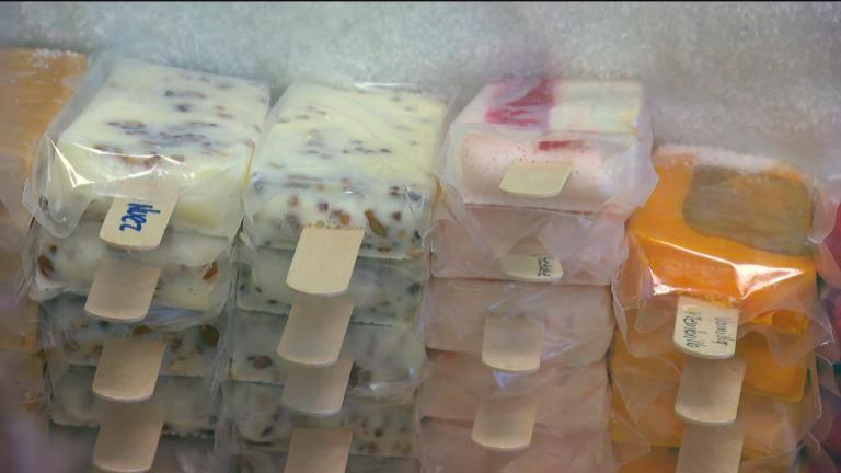 Paletas at Paleteria Las Delicias de la Michoacána. (WTTW News)