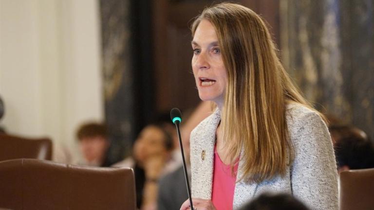 State Sen. Laura Fine, D-Glenview, speaks in favor of her bill to limit the ability of insurance companies to deny coverage or steer individuals toward lower cost, and sometimes less effective, treatments. (Peter Hancock / Capitol News Illinois)