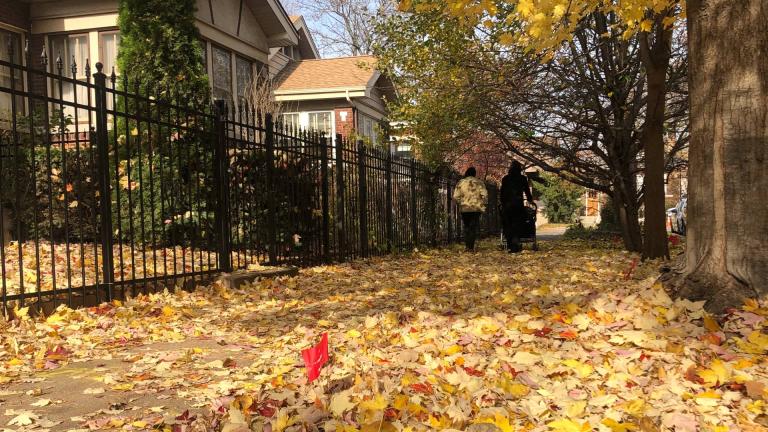 (Patty Wetli / WTTW News)