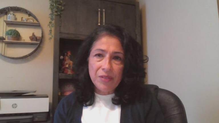 State Rep. Lisa Hernandez (D-Cicero) appears on “Chicago Tonight: Latino Voices” on Aug. 15, 2024. (WTTW News)
