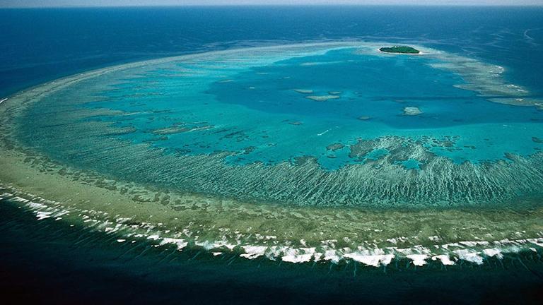 Great Barrier Reef (Lock the Gate Alliance / Flickr)