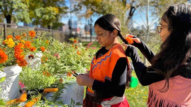 Salome Arriaga, 11, and Allison Santana, 10, take part in preparing Aztec marigolds for a Dia de los Muertos celebration. (Patty Wetli / WTTW News)