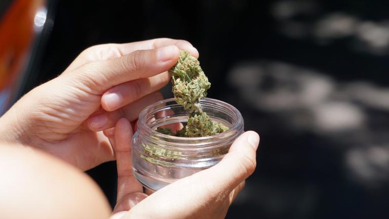 Marijuana is pictured in a container. (Elsa Olofsson / Pixabay)