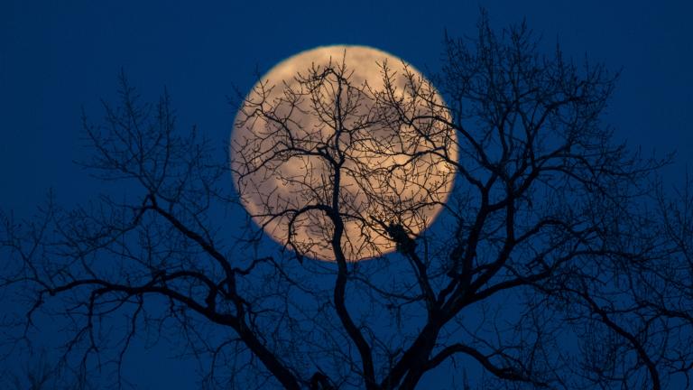 Photo by Mike Zarnek: Supermoon. Taken from Glenview on Sunday 11/13/2016 