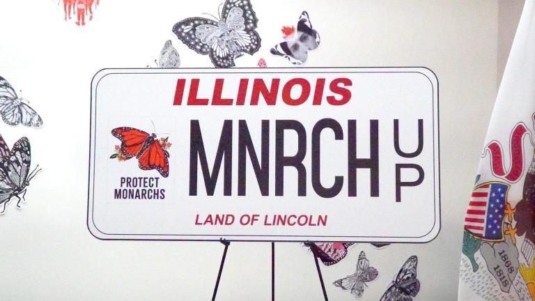 Illinois’ new universal specialty license plate design, with monarch butterfly decal. (Illinois Secretary of State / Facebook)