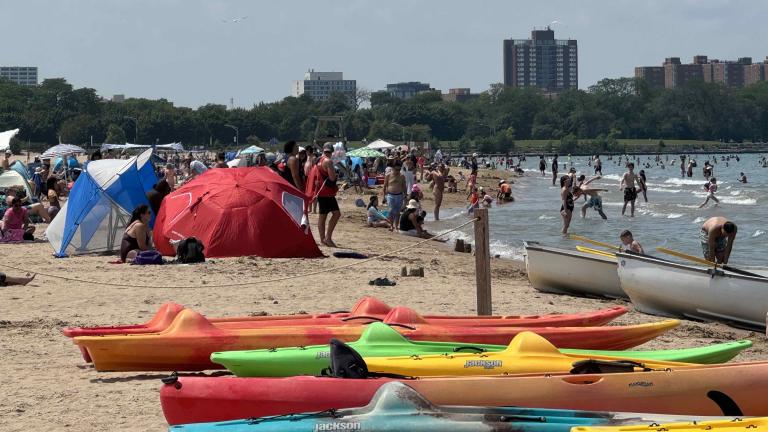 Chicagoans enjoying a pleasant summer day at Montrose Beach, July 2024. (Patty Wetli / WTTW News)