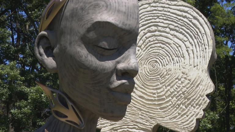 Although they look like wood, Daniel Popper's sculptures in the Human + Nature exhibit are made of concerete. (WTTW News)