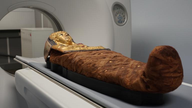 Researchers at Field Museum scan a mummified individual displayed in the “Inside Ancient Egypt” exhibition. (Morgan Clark / The Field Museum) 