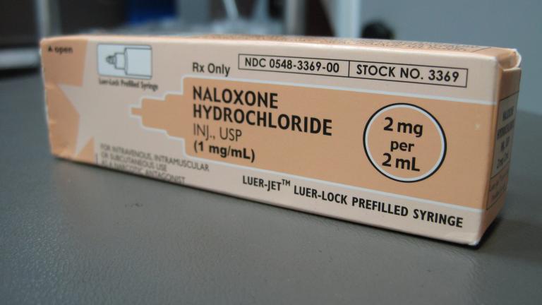 (Intropin / Wikimedia Commons)