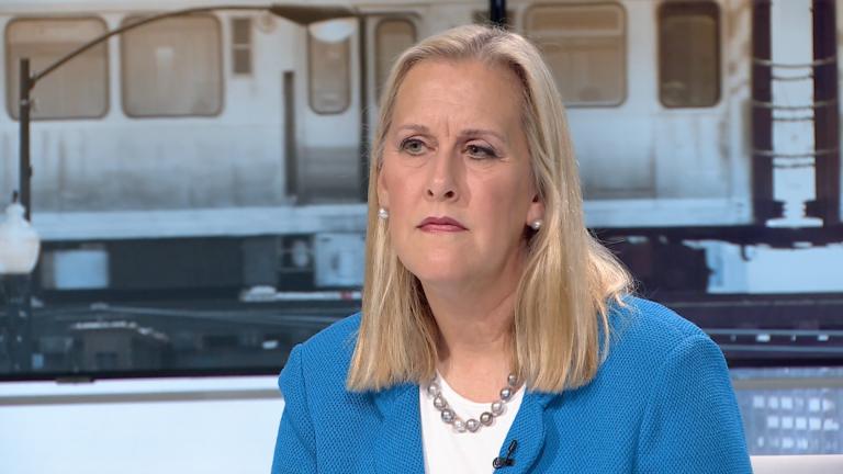 Highland Park Mayor Nancy Rotering appears on "Chicago Tonight" on Oct. 10, 2022. (WTTW News)