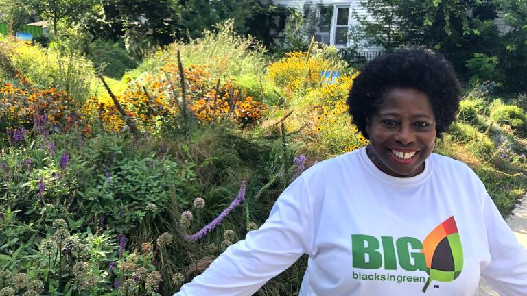 Naomi Davis, founder and CEO of Blacks in Green, at the Mamie Till-Mobley Forgiveness Garden in West Woodlawn. (Patty Wetli / WTTW News)