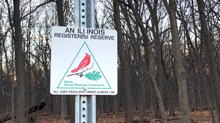 Just 4% of Illinois is officially protected. Nature preserve status is the highest level of protection available in Illinois. (Patty Wetli / WTTW News)