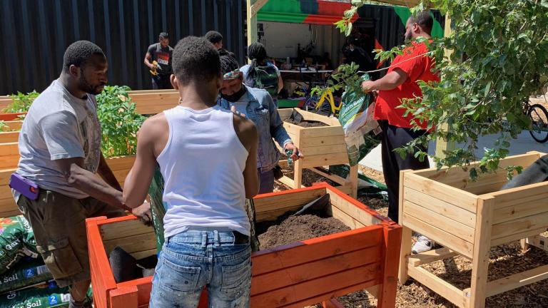 Community gardening in North Lawndale (Courtesy Young Mens Educational Network Chicago)