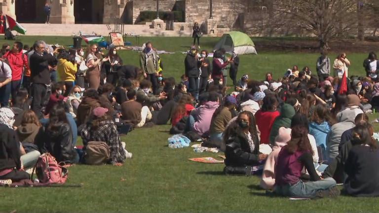 A group of protesters set up on Northwestern University’s campus in late April 2024. (WTTW News)