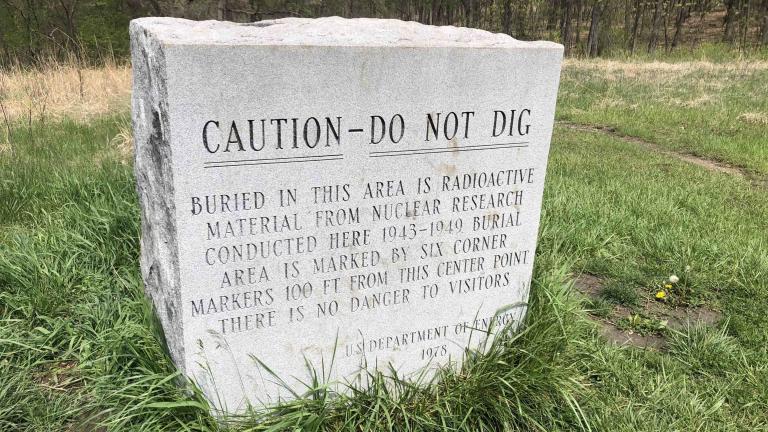 This marker sits on the site of buried nuclear waste in Red Gate Woods. (Patty Wetli / WTTW News)