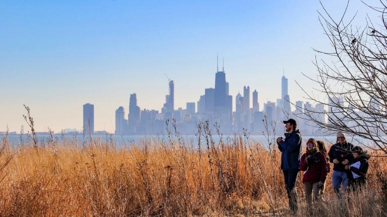 Montrose Point Bird Sanctuary (Courtesy Openlands)