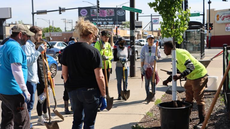 A group from Thomas Kelly High School in Chicago help plant trees. (Credit: Openlands)
