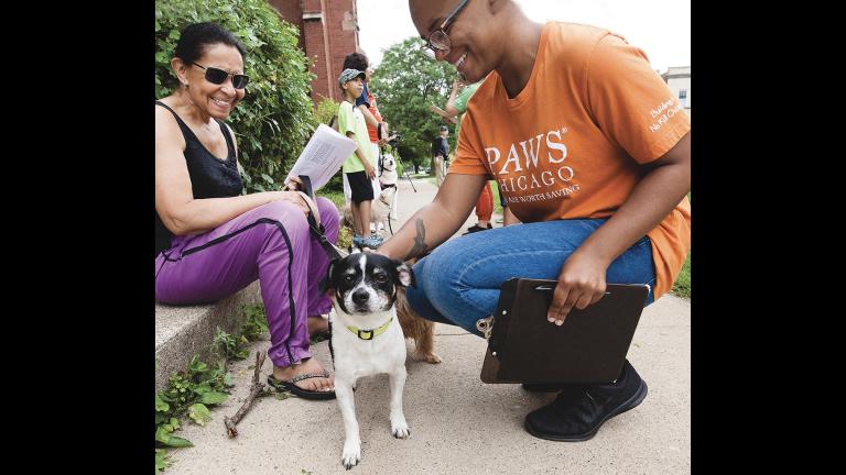 Since 2014, PAWS Chicago has operated a door-to-door outreach program aimed at reaching areas of the city with the highest rates of homeless pets. (Courtesy PAWS Chicago) 