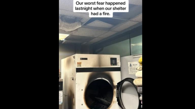 (Courtesy of PAWS Tinley Park’s Facebook page)