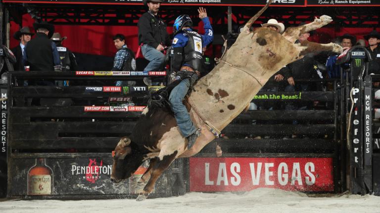 (Andy Watson / Bull Stock)