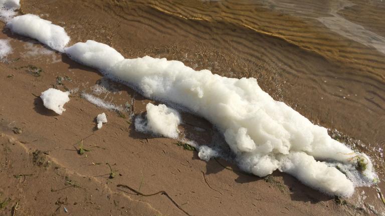PFAS foam in Van Ettan Lake in northeastern Michigan. (Michigan Department of Environmental Quality / Flickr)