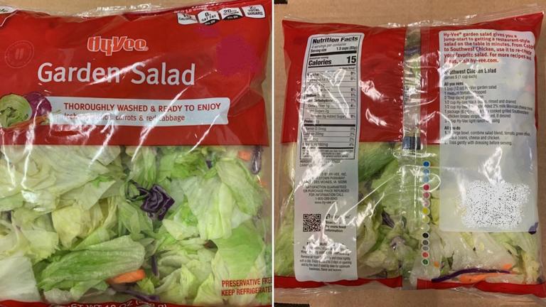 Packaged garden salads from various grocery stores, including Hy-Vee, have been linked with an outbreak of an intestinal illness. (Courtesy FDA.gov) Packaged garden salads from various grocery stores, including Hy-Vee, have been linked with an outbreak of an intestinal illness. (Courtesy FDA.gov)