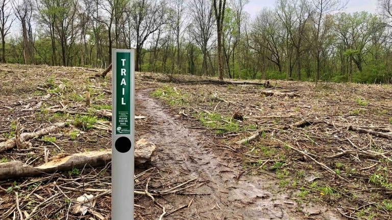 The scene at Red Gate Woods looks like an eco-disaster but it’s actually the result of invasive shrub removal. (Patty Wetli / WTTW News)