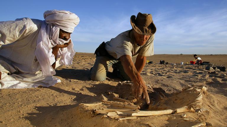 University of Chicago paleontologist Paul Sereno, right, in Niger. (Credit: Mike Hettwer)