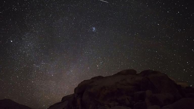 The Perseid meteor shower on Aug. 11, 2015. (Joshua Tree National Park / Wikimedia Commons)