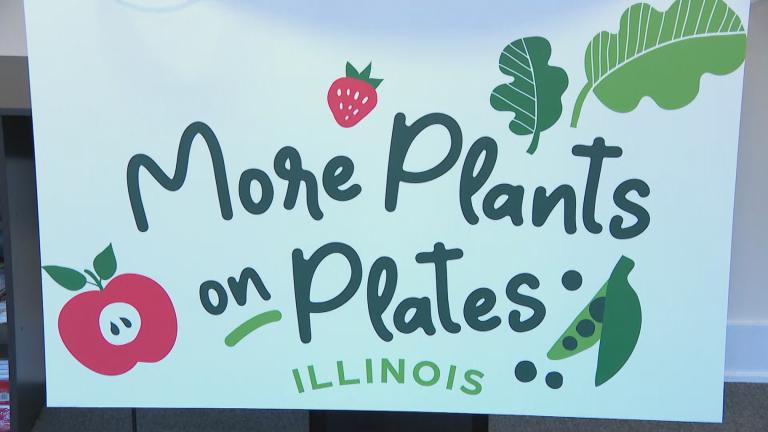 (WTTW News)