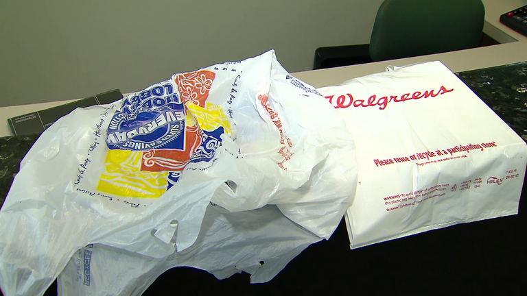 City of Evanston to Ban Plastic Bags, News