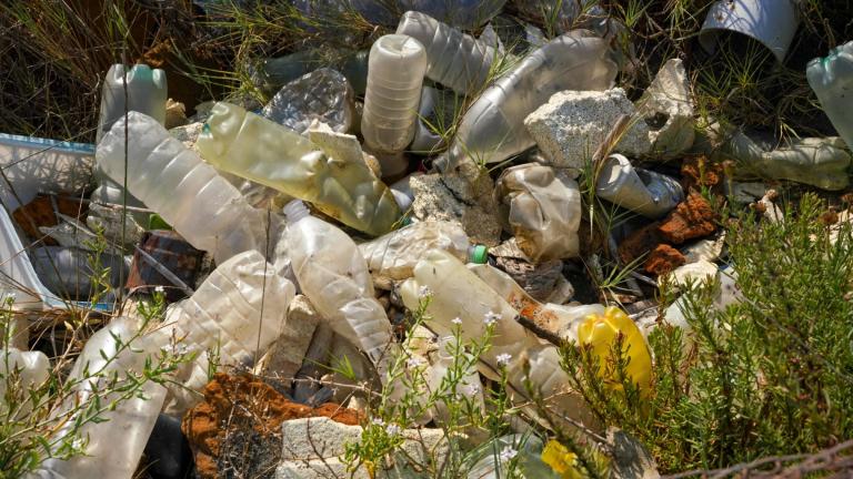 FILE - Plastic bottles and other garbage are seen next to a beach at Fiumicino, Italy, near Rome, Saturday, Aug. 15, 2020. (Andrew Medichini / AP Photo, File)