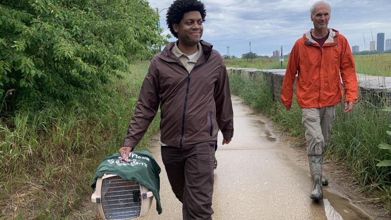 Armand Cann, fish and wildlife biologist with the U.S. Fish and Wildlife Service, left, and Brad Semel, engaged species recovery specialist for the Illinois Department of Natural Resources, walk along a protected site at Montrose Beach ahead of the release of three plovers on July 12, 2023. (Eunice Alpasan / WTTW News)