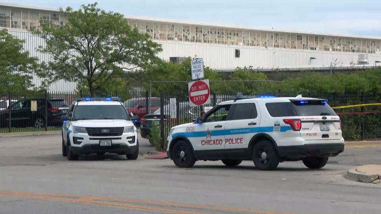 A file photo shows Chicago police SUVs. (WTTW News)