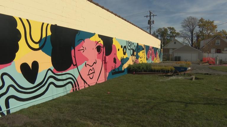 POP! Heights Park in the Roseland community. (WTTW News)