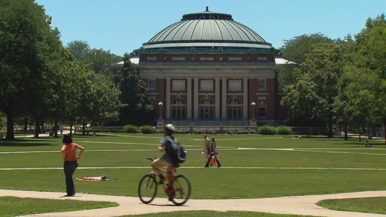 The quad at the University of Illinois at Urbana-Champaign. (WTTW News)