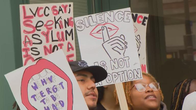 Protesters gather outside a Chicago Police Department building on July 12, 2023. (WTTW News)