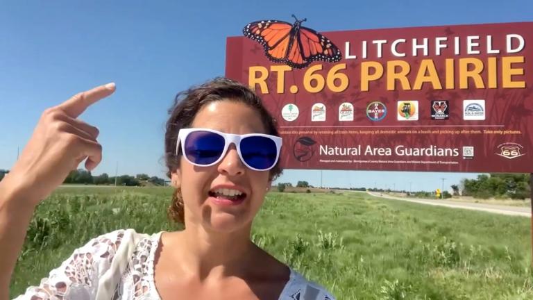 The Route 66 Monarch Flyway combines ecotourism with conservation to save two endangered entities: the monarch butterfly and small towns. (Visit Litchfield Illinois / Facebook)