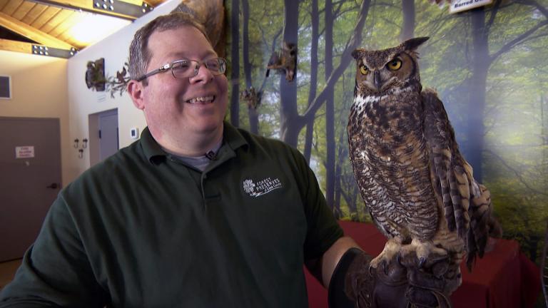 Cook County Forest Preserves naturalist Ryan DePauw holds a great horned owl, the largest owl found in the region, at the River Trail Nature Center on Feb. 18, 2021. (WTTW News) Cook County Forest Preserves naturalist Ryan DePauw holds a great horned owl, the largest owl found in the region, at the River Trail Nature Center on Feb. 18, 2021. (WTTW News)