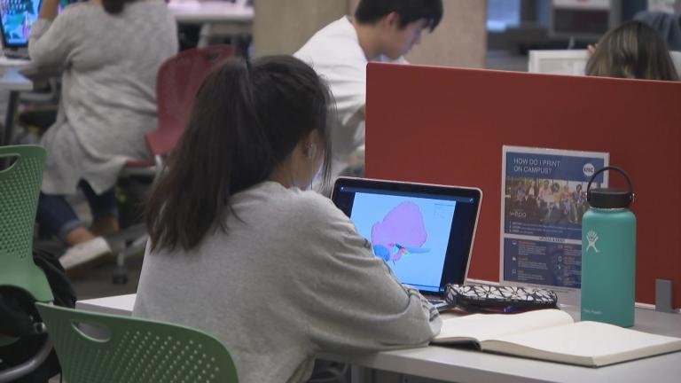 File photo of a student at a computer. (WTTW News)