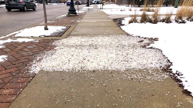 Foster Avenue, in the North Park neighborhood. Experts say a single mug of salt is enough for 10 squares of sidewalk. (Patty Wetli / WTTW News)
