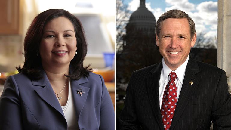 Illinois candidates for U.S. Senate Democrat Tammy Duckworth and Republican incumbent Mark Kirk won their respective primaries.
