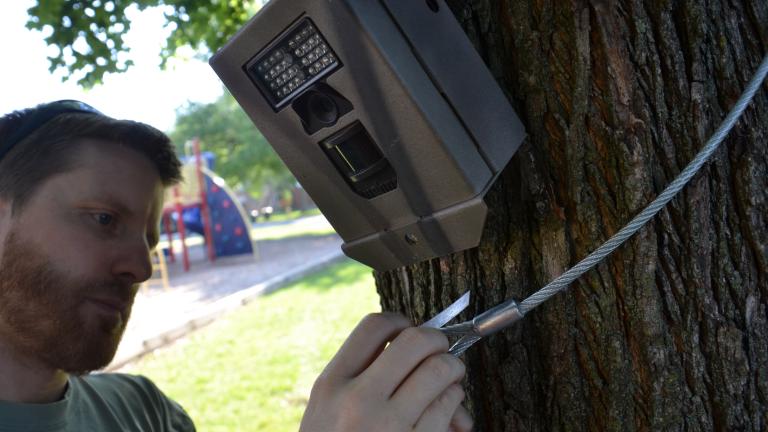 Seth Magle, Ph.D., Director of the Urban Wildlife Institute, secures a camera trap that is used to capture data for Chicago Wildlife Watch. (Courtesy of Urban Wildlife Institute/Lincoln Park Zoo)