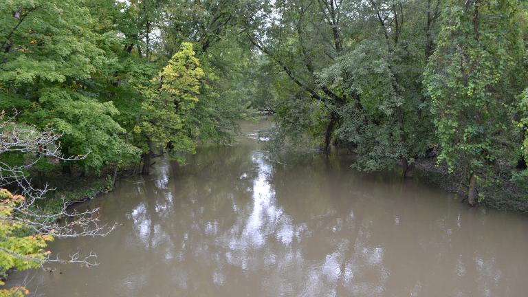 A section of the North Branch of the Chicago River in Edgebrook on Oct. 2, 2018 (Alex Ruppenthal / Chicago Tonight)